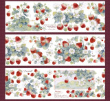 【幸目】マスキングテープ 诗莓园 贝壳光