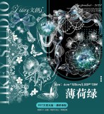 【Likey】マスキングテープ 薄荷绿【PET贝壳光