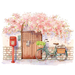 sale【新七天】マスキングテープ 桃次郎小店 pet 10cm*3m