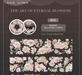 B【花柒所】マスキングテープ 语初 贝壳光