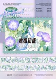 今日〆【studiovi】マスキングテープ 檐楹初盛 贝壳光
