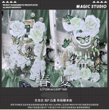 sale 100【魔法堂】マステ 春夏 贝壳光