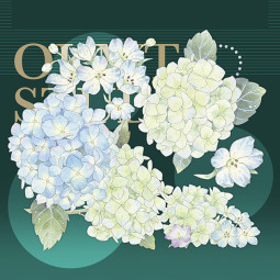 sale 100【新七天】マスキングテープ 贝拉安娜-贝壳光