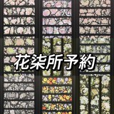 loop cut【7月末発送】マスキングテープ 花柒所 6.18〆