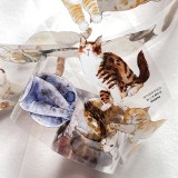 6.18〆 6月下発送【Dingding】マステ maskingtape A20#喵~