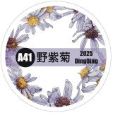 6.18〆 6月下発送【Dingding】マステ maskingtape A41#野紫菊