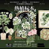 【7月下旬発送】マステ maskingtape 幸目 7.5〆