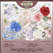 sale 100【刺猬家】マスキングテープ 春尘花信（pet贝壳光）