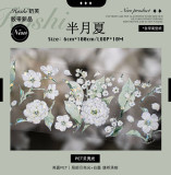 sale 100【hoshi奶芙】 マスキングテープ 半月夏【PET贝壳光】