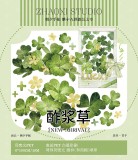 【朝夕】maskingtape マスキングテープ 酢浆草 贝壳光