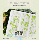 【朝夕】maskingtape マスキングテープ 绿荫 贝壳光