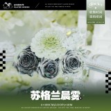 sale 100【冰川】 マスキングテープ 苏格兰晨雾 贝壳光 10m