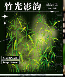 sale 100【Just】マスキングテープ 竹光影韵 贝壳光