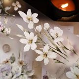 7月末発送【壹洱】マステ maskingtape 风语花眠