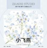 sale100【朝夕】maskingtape マスキングテープ 小飞燕 贝壳光