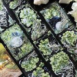 【shine】マスキングテープ 世界树之尽 贝壳光