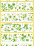 A【金刚兔】マステ maskingtape 幸运雏菊 贝壳光模切