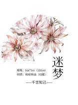 9.30〆10月発送【千言】マステ maskingtape 迷梦