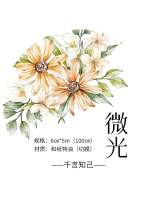 9.30〆10月発送【千言】マステ maskingtape 微光