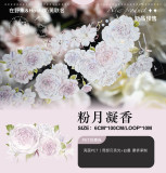 sale 100【在野集】マステ 粉月凝香（pet贝壳光）