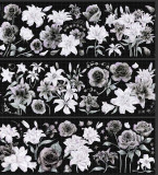 A【hoshi奶芙】 マスキングテープ 无言盛开 贝壳光