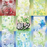 【11月末発送】マスキングテープ maskingtape 朝夕 10.29〆