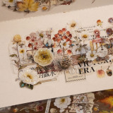 sale 100【hoshi奶芙】 マスキングテープ maskingtape 栖迟