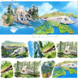 【1月発送】マスキングテープ new 5m 11.26〆