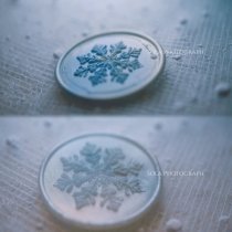 今日〆【Wax Seal】ワックスシール（ヘッド) 12月発送