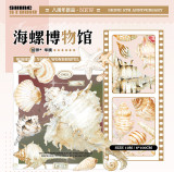 A【shine】マスキングテープ maskingtape 海螺博物馆 贝壳光