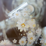 sale 100【hoshi奶芙】 マステ maskingtape 雏菊听风 5m