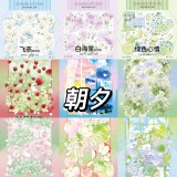 【1月末発送】マスキングテープ maskingtape 朝夕 12.14〆