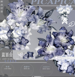 sale A【喜雀】マスキングテープ 蓝百合-贝壳光