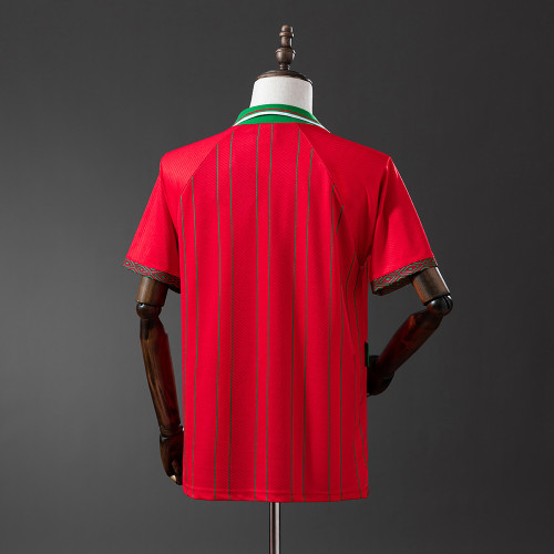 Wales Jersey 1994 Home Retro Football Kit