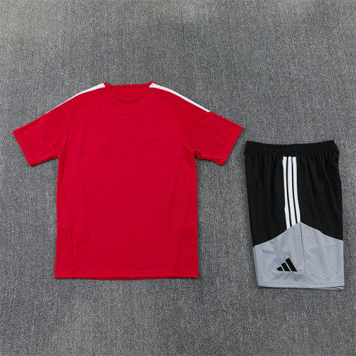 Spain Training Tracksuits 2026 Football Kit Soccer Jersey