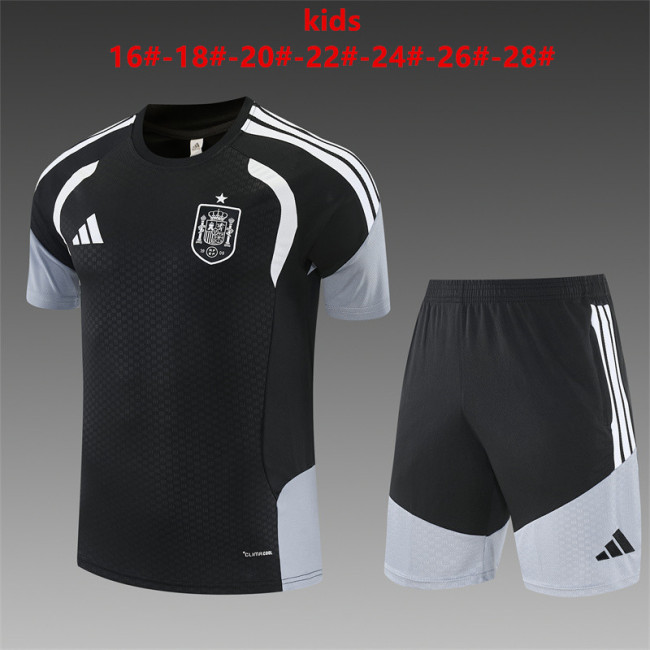 Kids Spain Training Tracksuits 2026 Football Kit Soccer Jersey