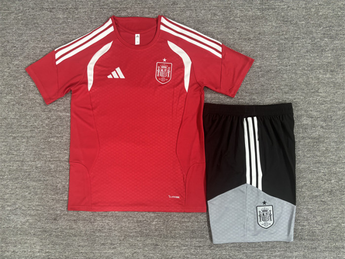 Kids Spain Training Tracksuits 2026 Football Kit Soccer Jersey