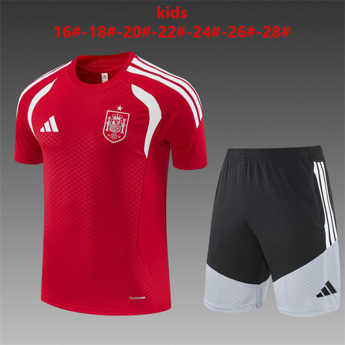 Kids Spain Training Tracksuits 2026 Football Kit Soccer Jersey