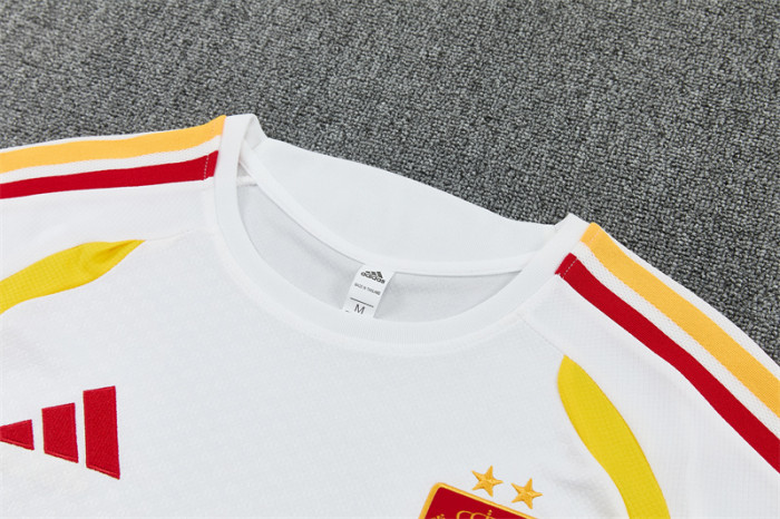 Spain Training Tracksuits 2026 Football Kit Soccer Jersey