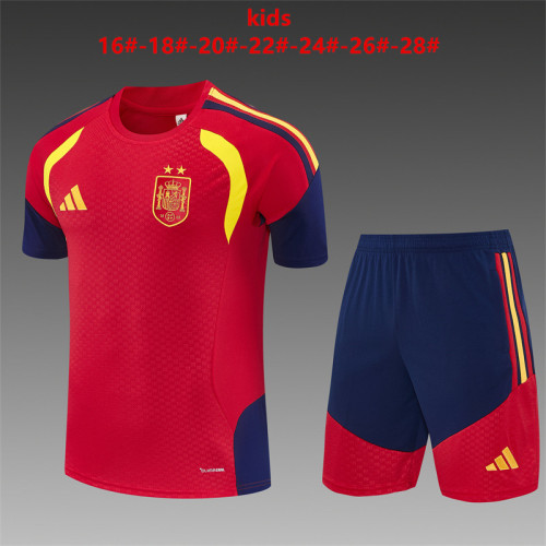Kids Spain Training Tracksuits 2026 Football Kit Soccer Jersey