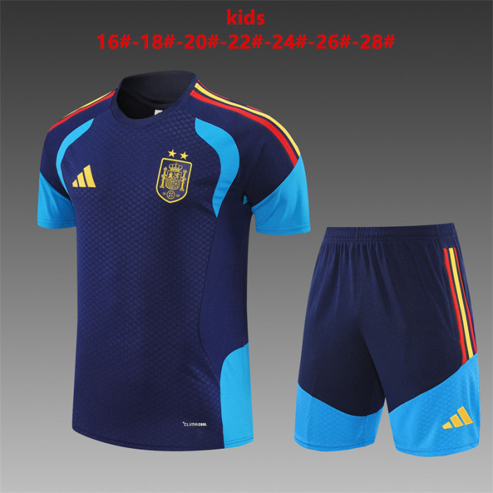 Kids Spain Training Tracksuits 2026 Football Kit Soccer Jersey
