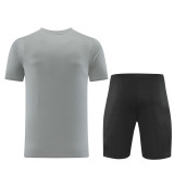 ND06 grey Mens Short Suit