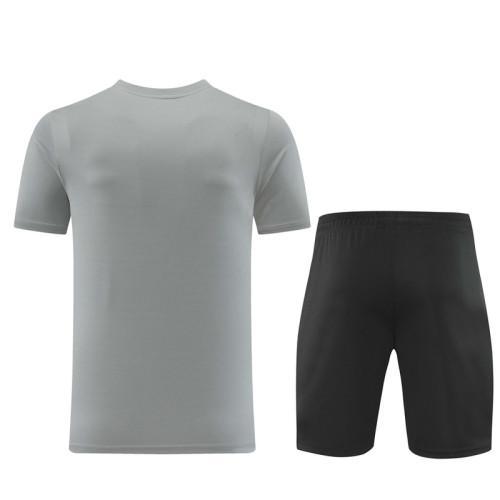 ND06 grey Mens Short Suit