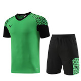 PD02 green Mens Short Suit