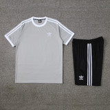 AD07 grey Mens Short Suit
