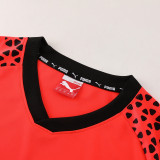 PD02 orange Mens Short Suit