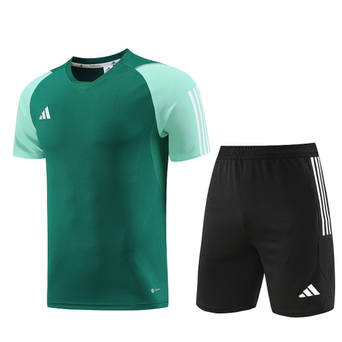 AD03 green Mens Short Suit