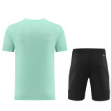 AD05 green Mens Short Suit