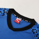 PD02 Royal Blue Mens Short Suit