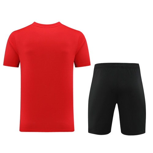 ND02 red Mens Short Suit